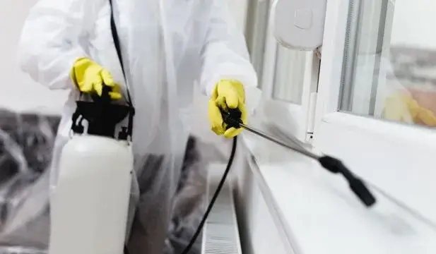 Désinsectisation Ozoir-la-Ferrière