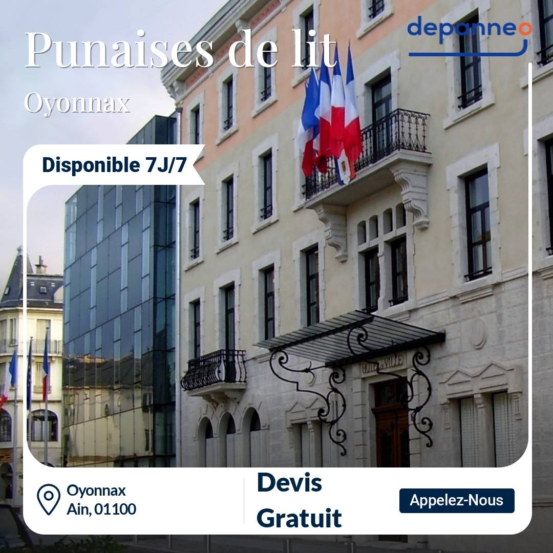 punaise de lit Oyonnax