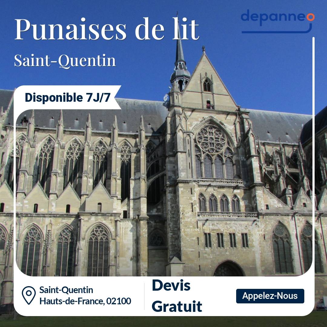 punaise de lit Saint-Quentin