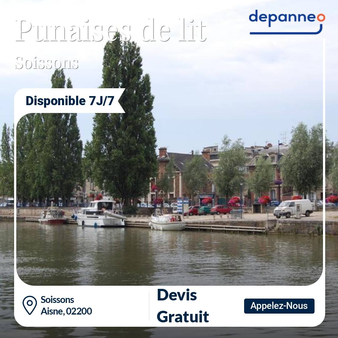 punaise de lit Soissons