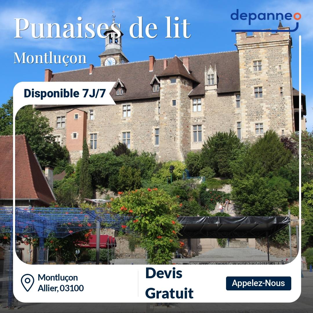 punaise de lit Montluçon