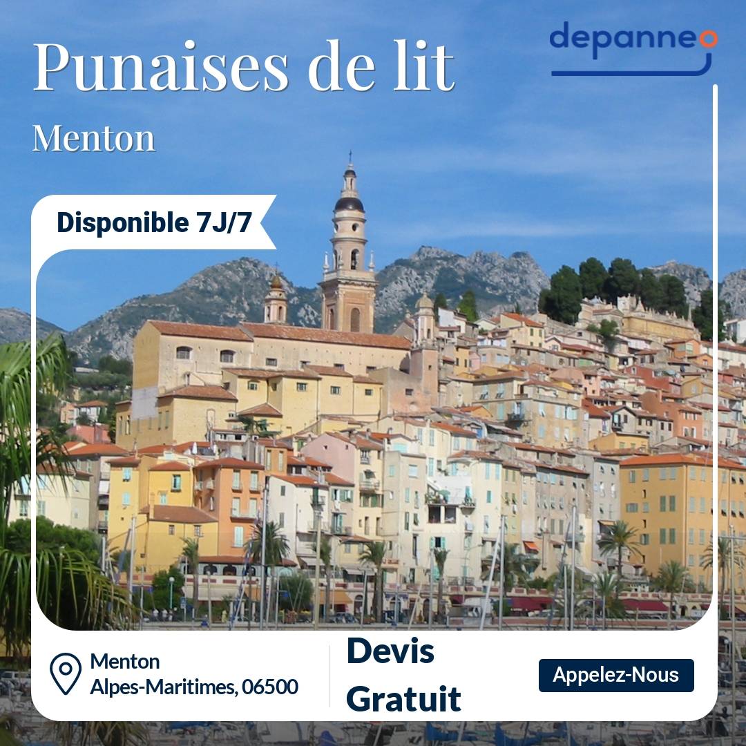 punaise de lit Menton