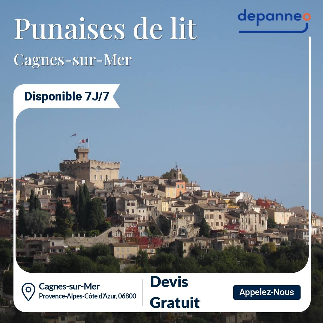 punaise de lit Cagnes-sur-Mer