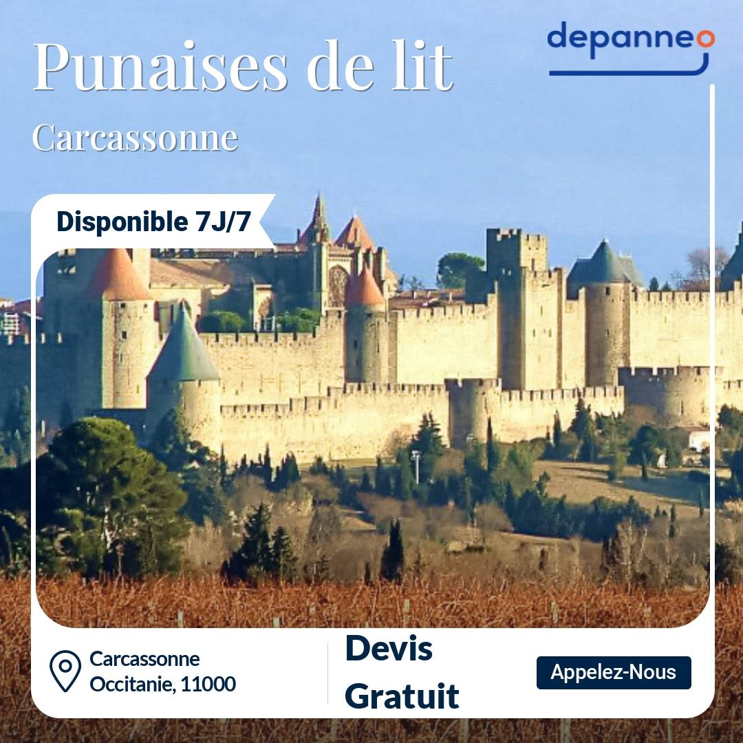 punaise de lit Carcassonne
