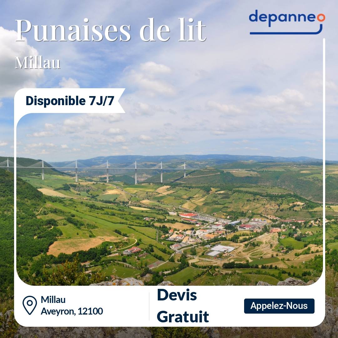 punaise de lit Millau