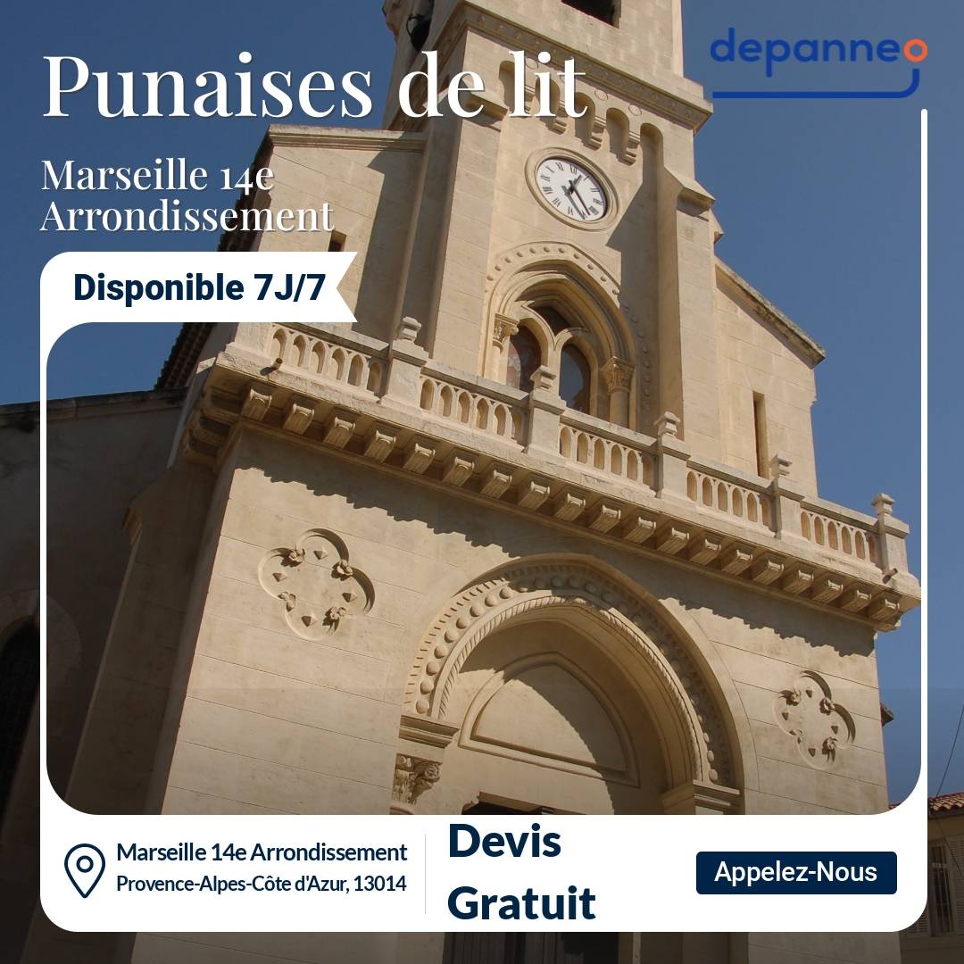punaise de lit Marseille 14e Arrondissement