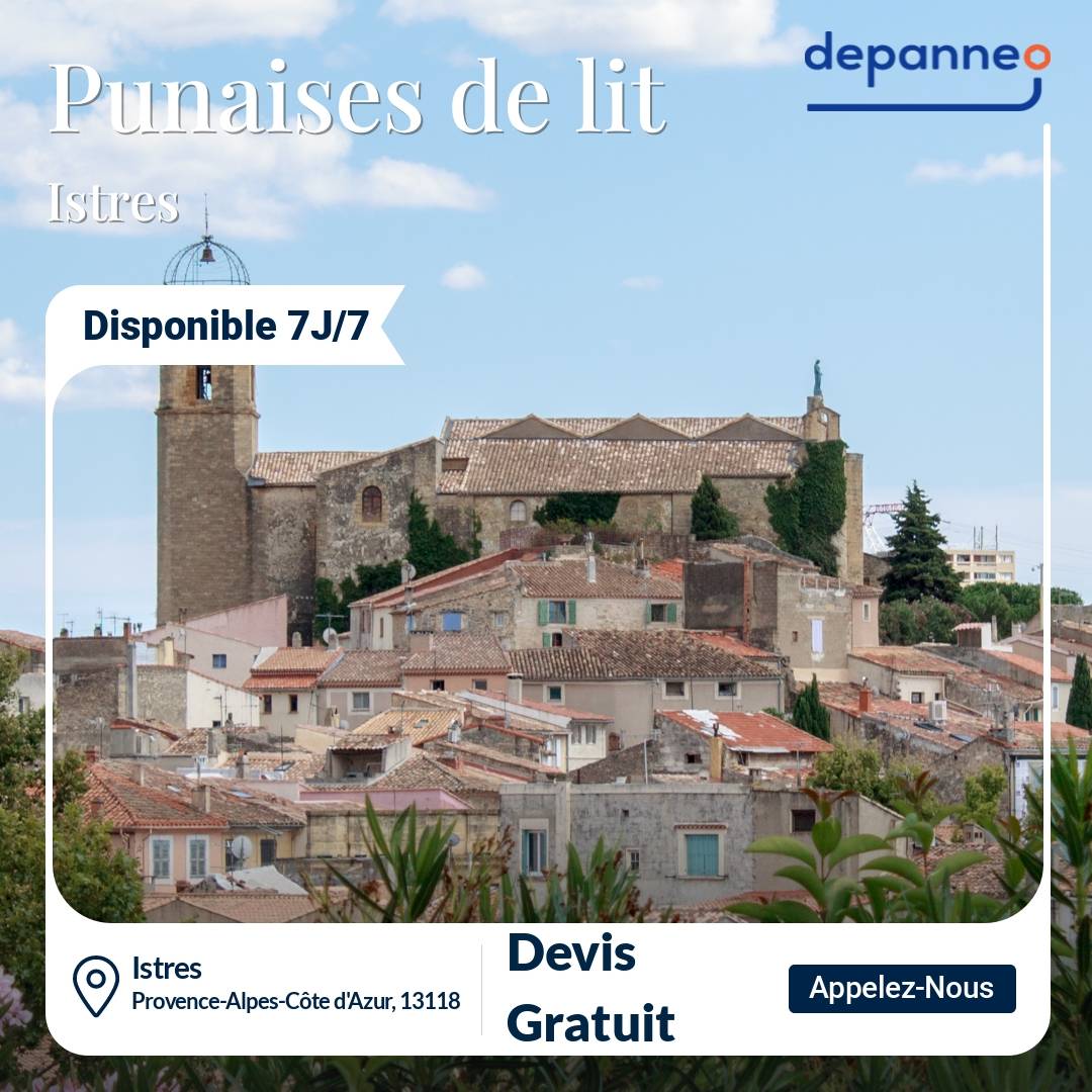 punaise de lit Istres