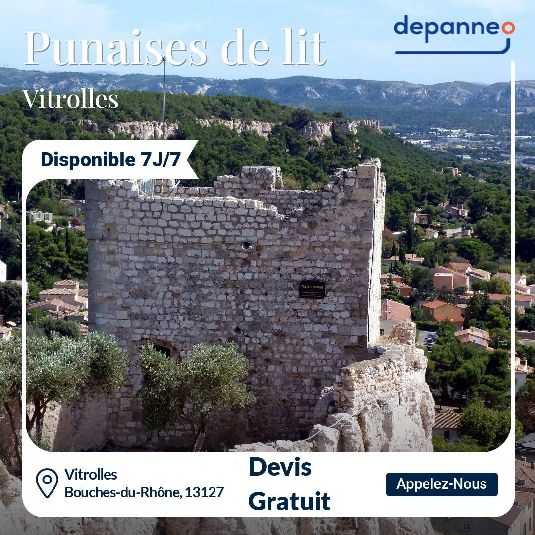 punaise de lit Vitrolles