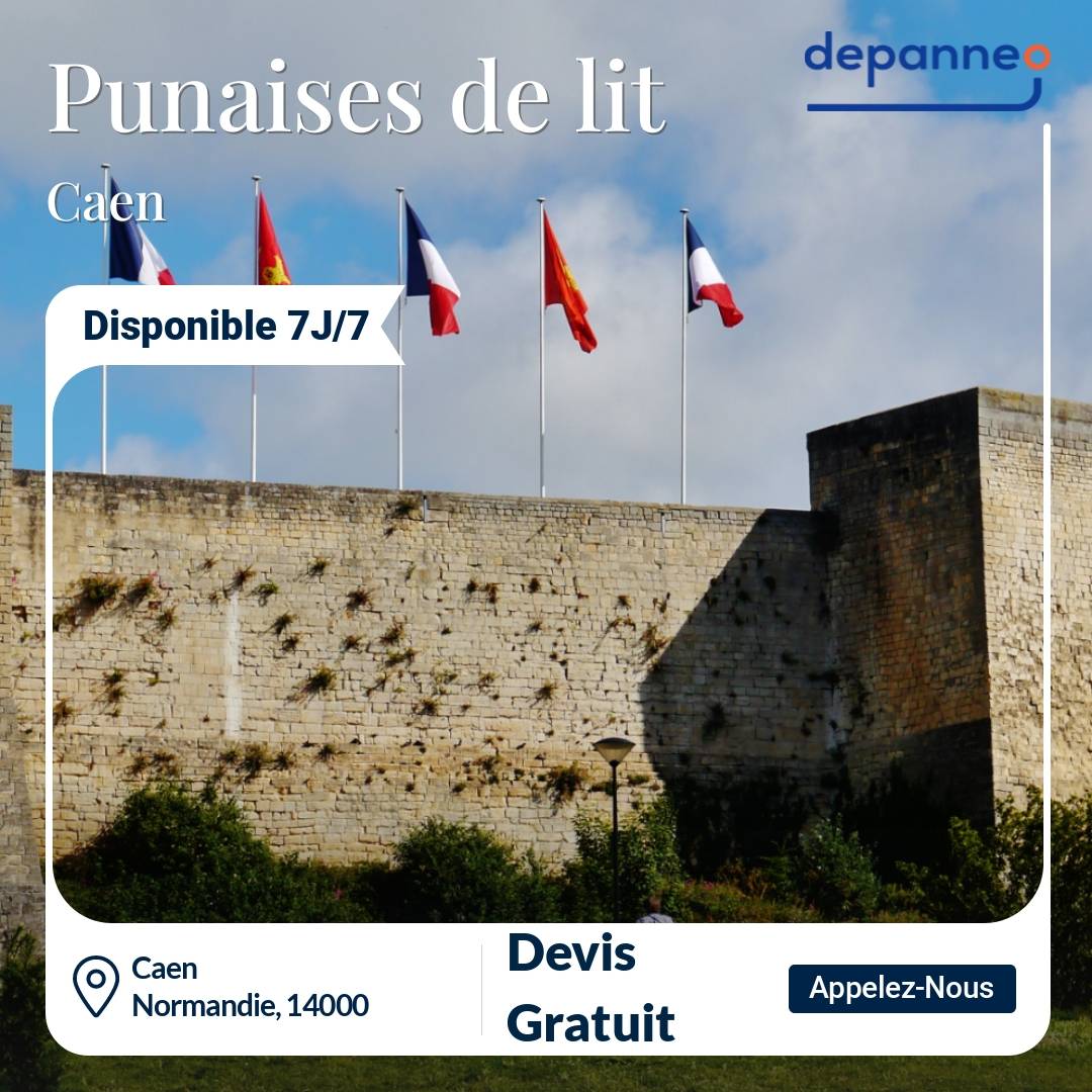 punaise de lit Caen