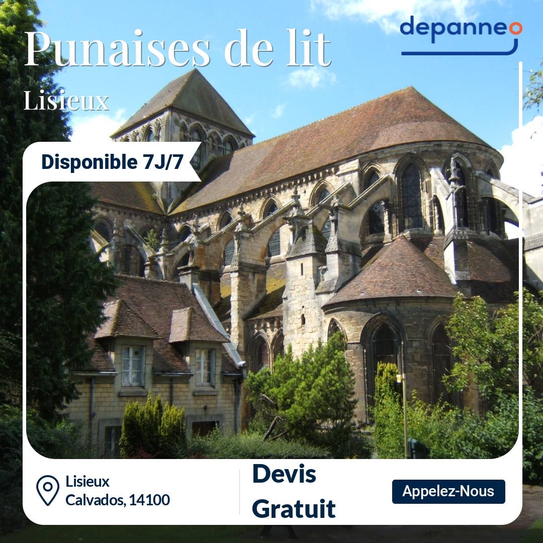 punaise de lit Lisieux