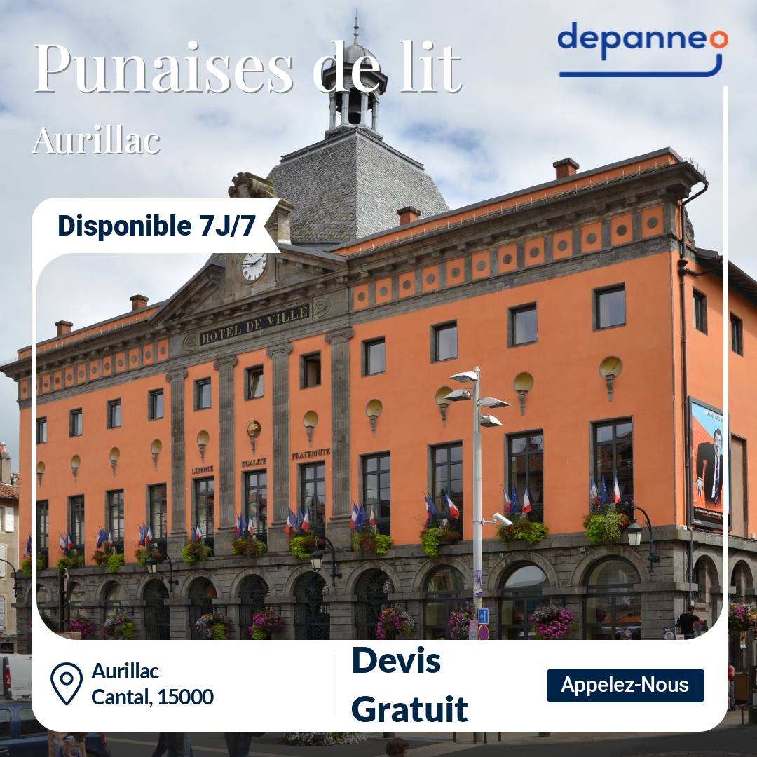 punaise de lit Aurillac