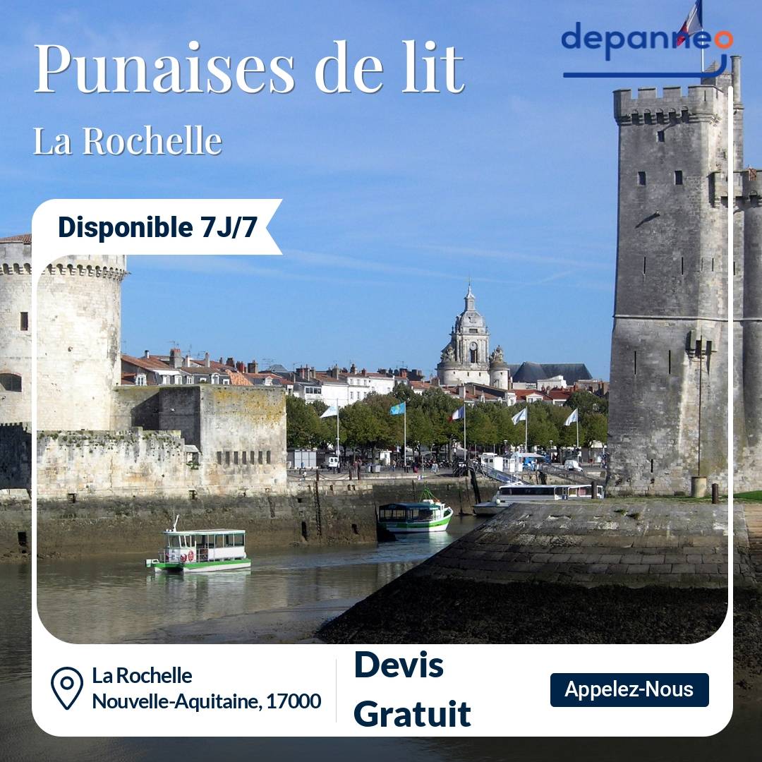 punaise de lit La Rochelle