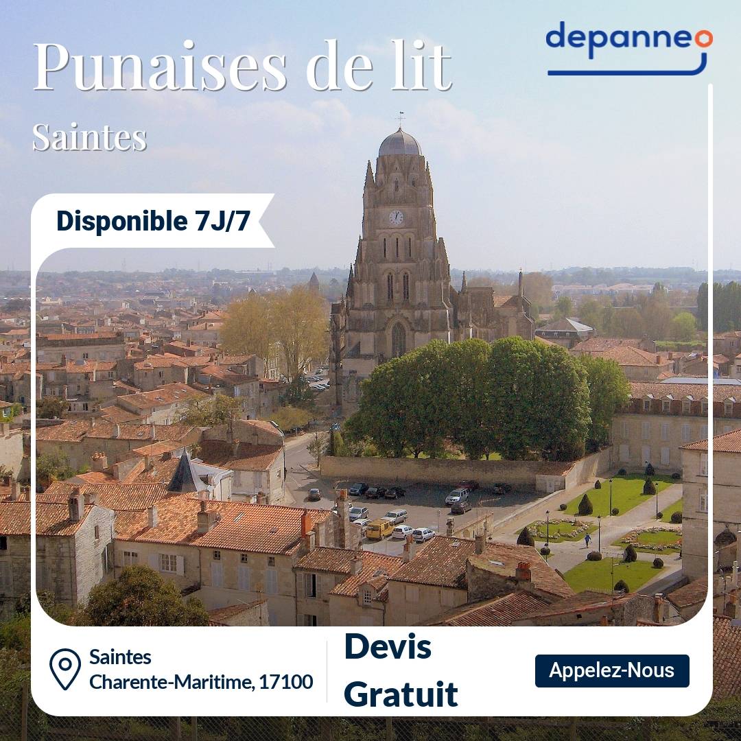 punaise de lit Saintes