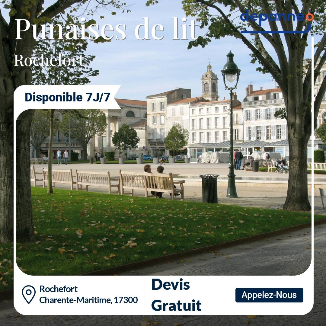 punaise de lit Rochefort