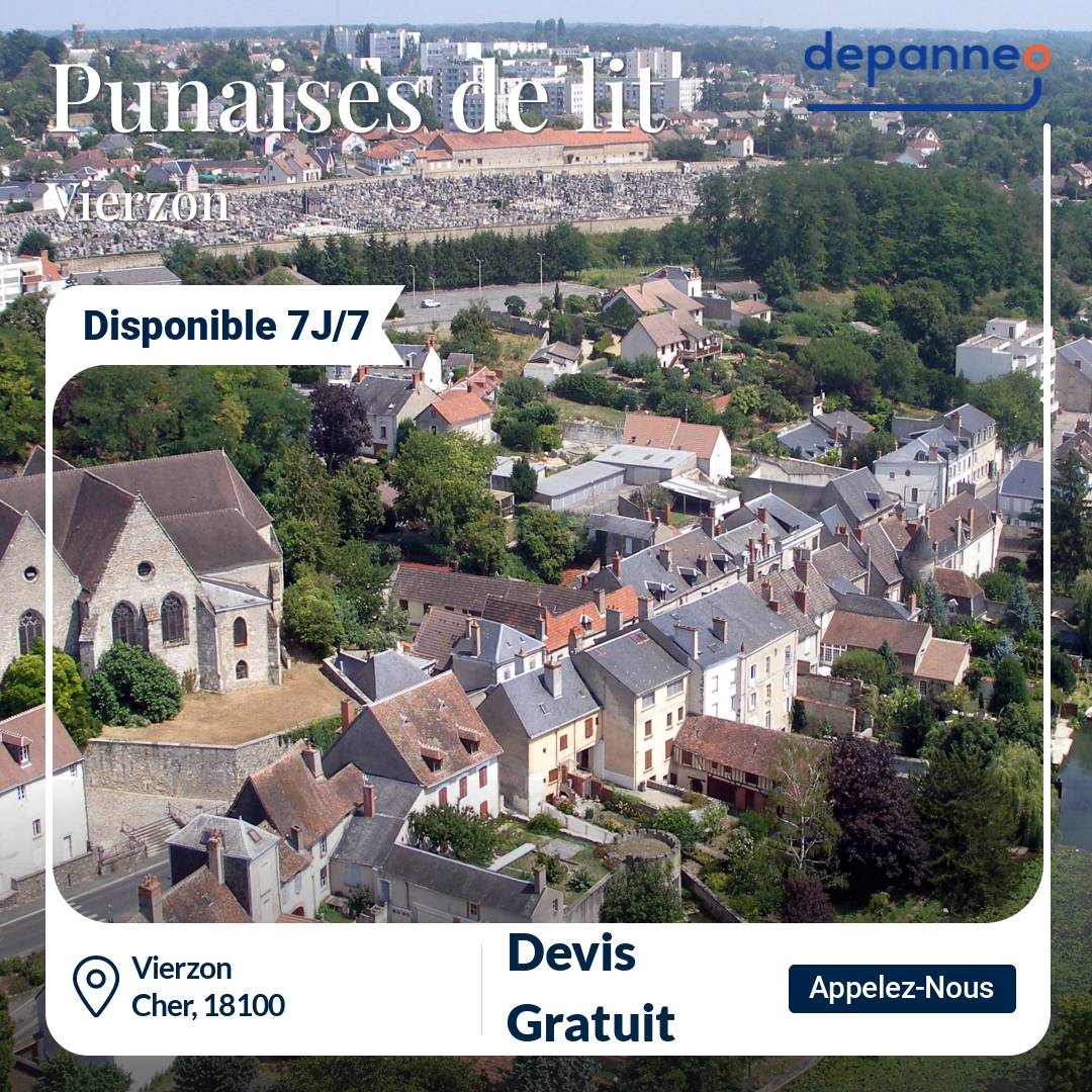 punaise de lit Vierzon