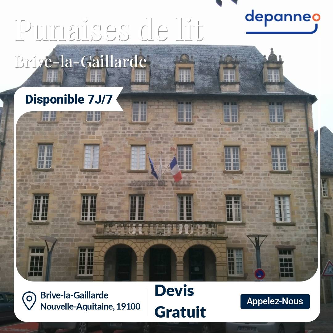 punaise de lit Brive-la-Gaillarde