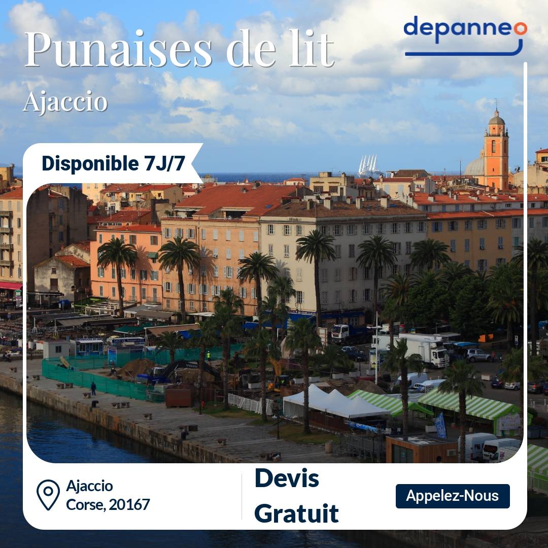 punaise de lit Ajaccio