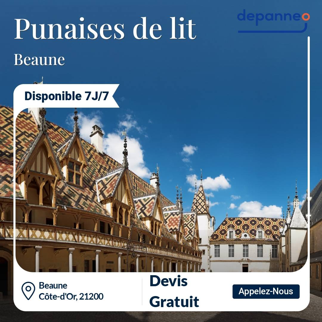 punaise de lit Beaune