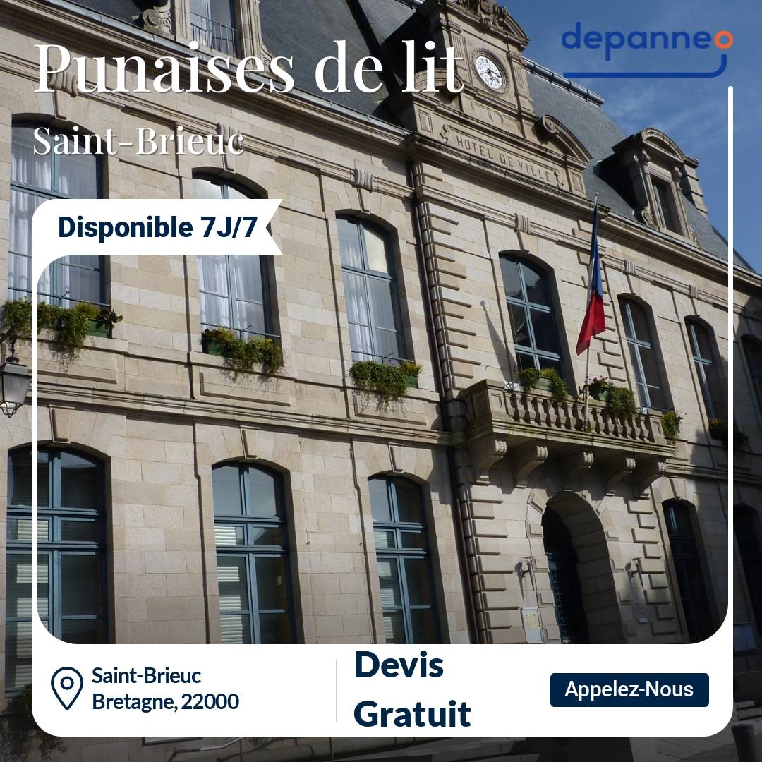 punaise de lit Saint-Brieuc