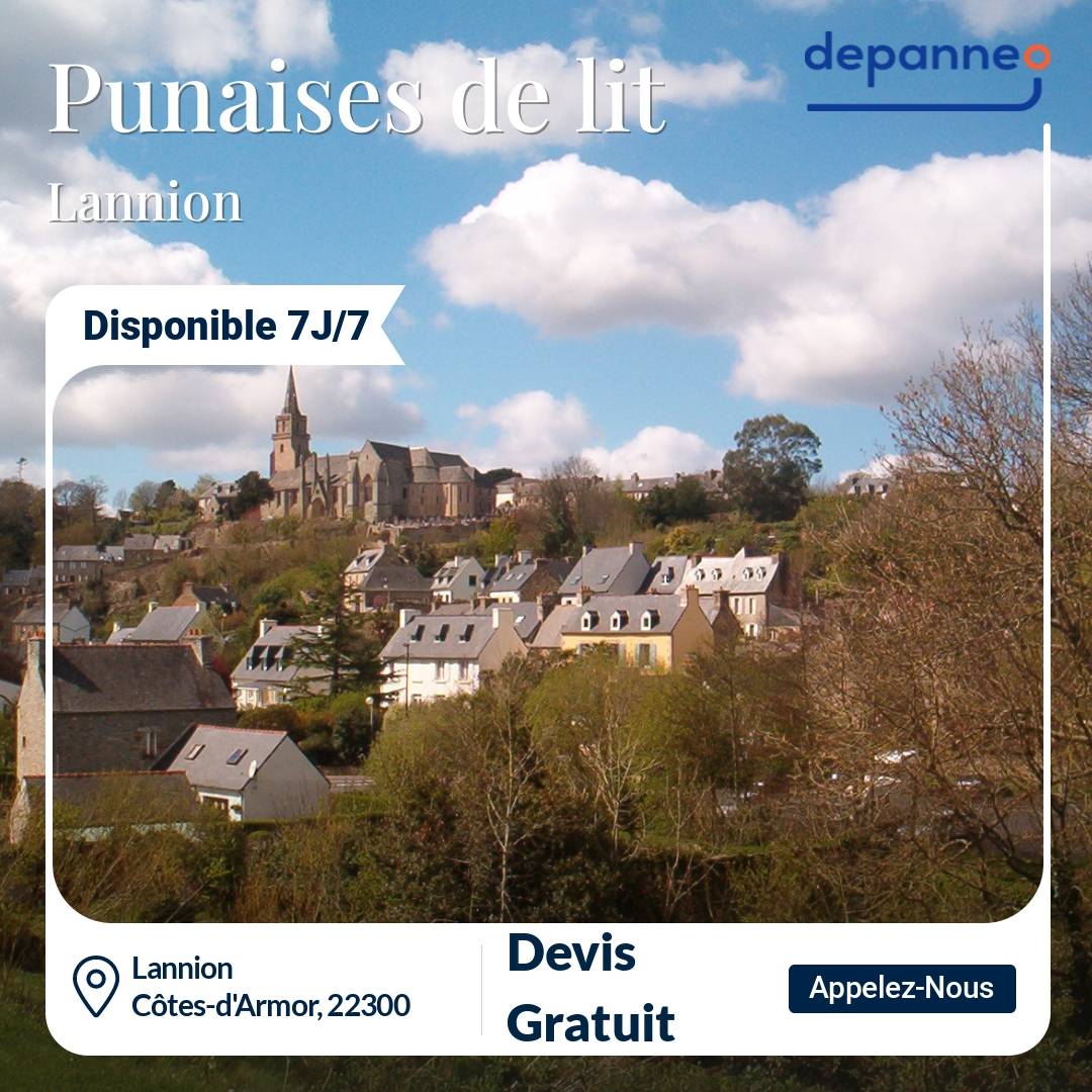 punaise de lit Lannion