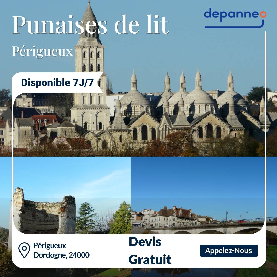 punaise de lit Périgueux