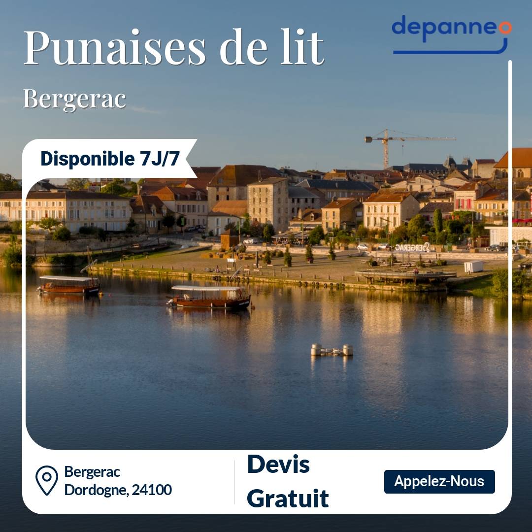 punaise de lit Bergerac