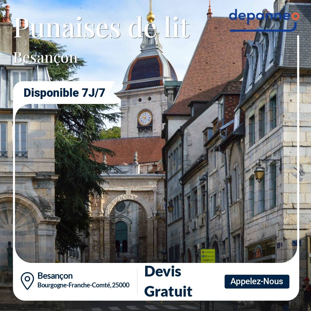 punaise de lit Besançon