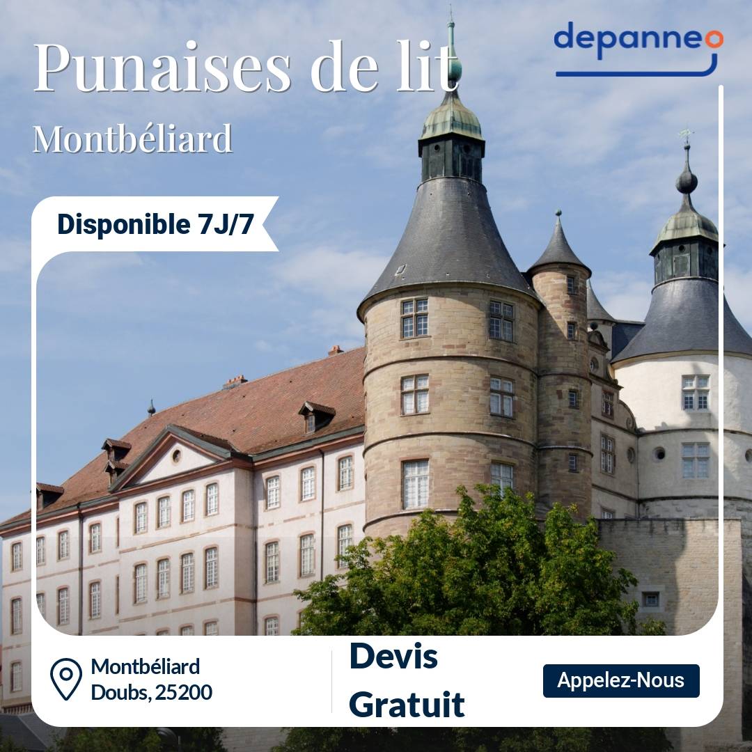 punaise de lit Montbéliard