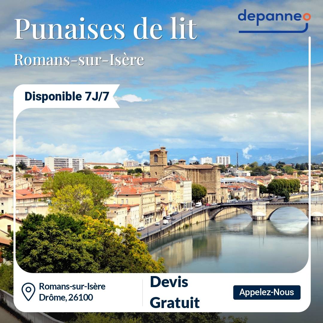 punaise de lit Romans-sur-Isère