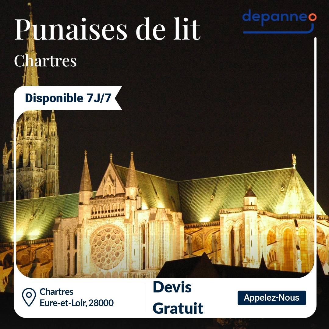 punaise de lit Chartres