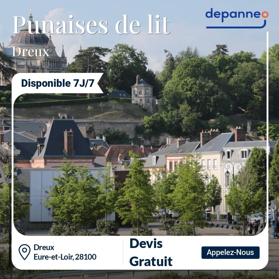 punaise de lit Dreux