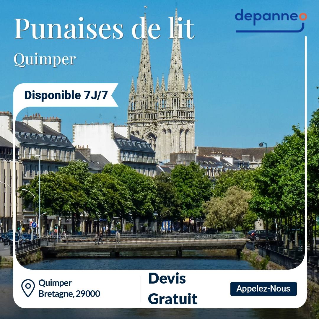 punaise de lit Quimper