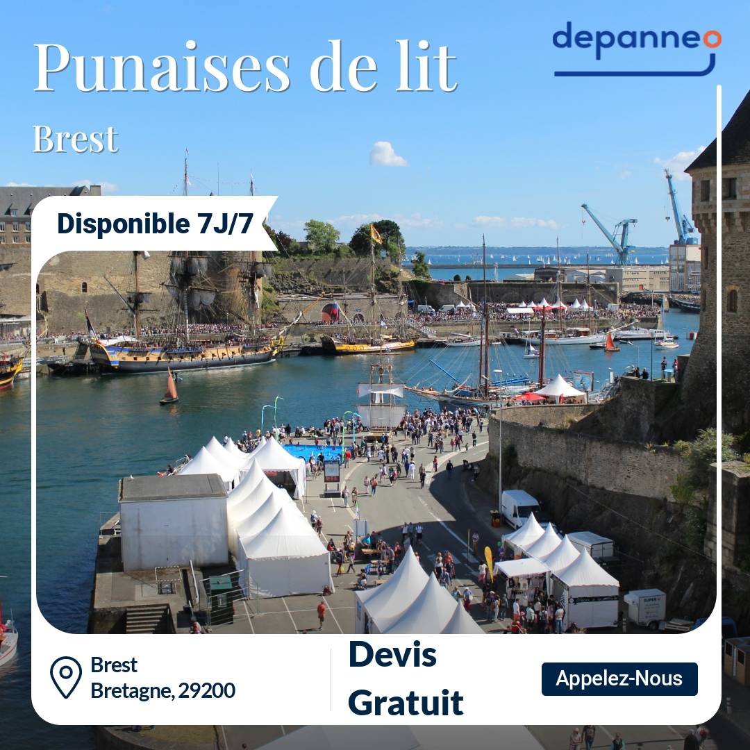 punaise de lit Brest