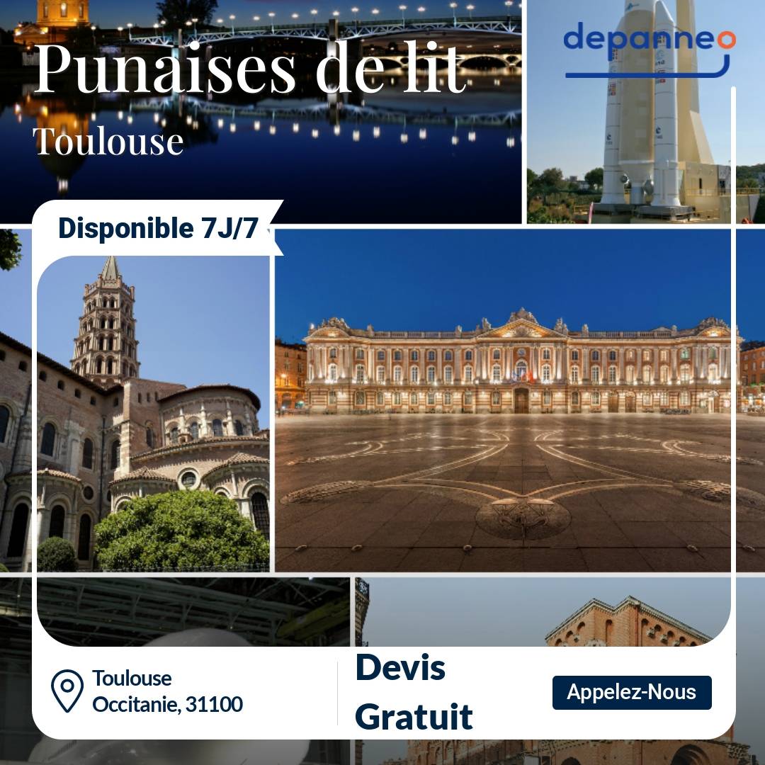 punaise de lit Toulouse