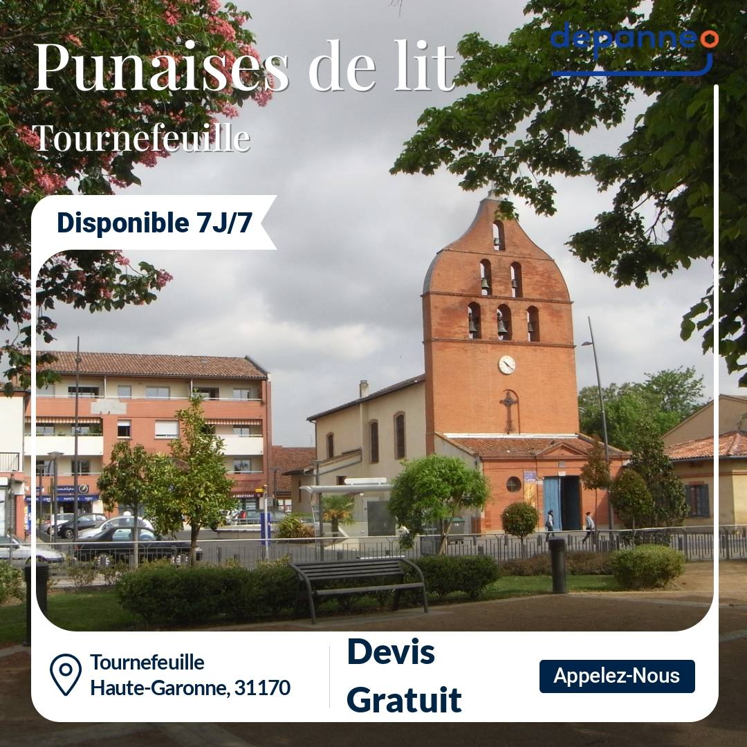 punaise de lit Tournefeuille