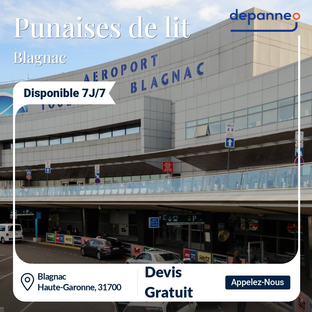 punaise de lit Blagnac
