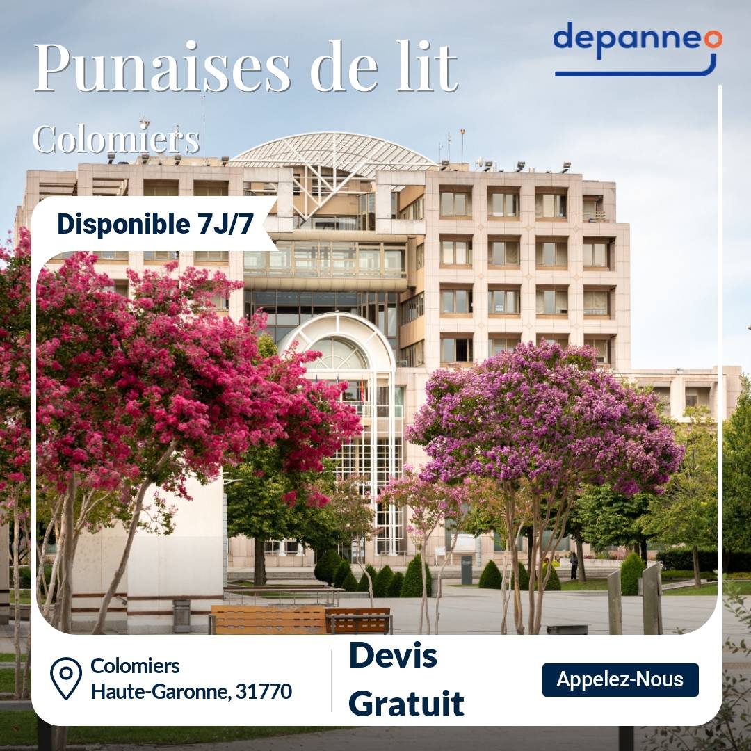 punaise de lit Colomiers