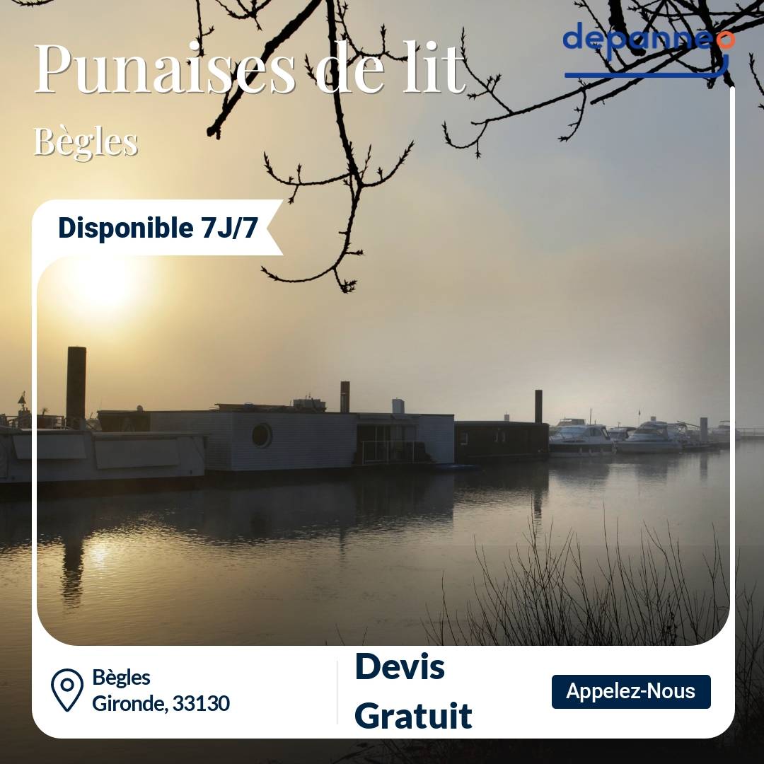 punaise de lit Bègles