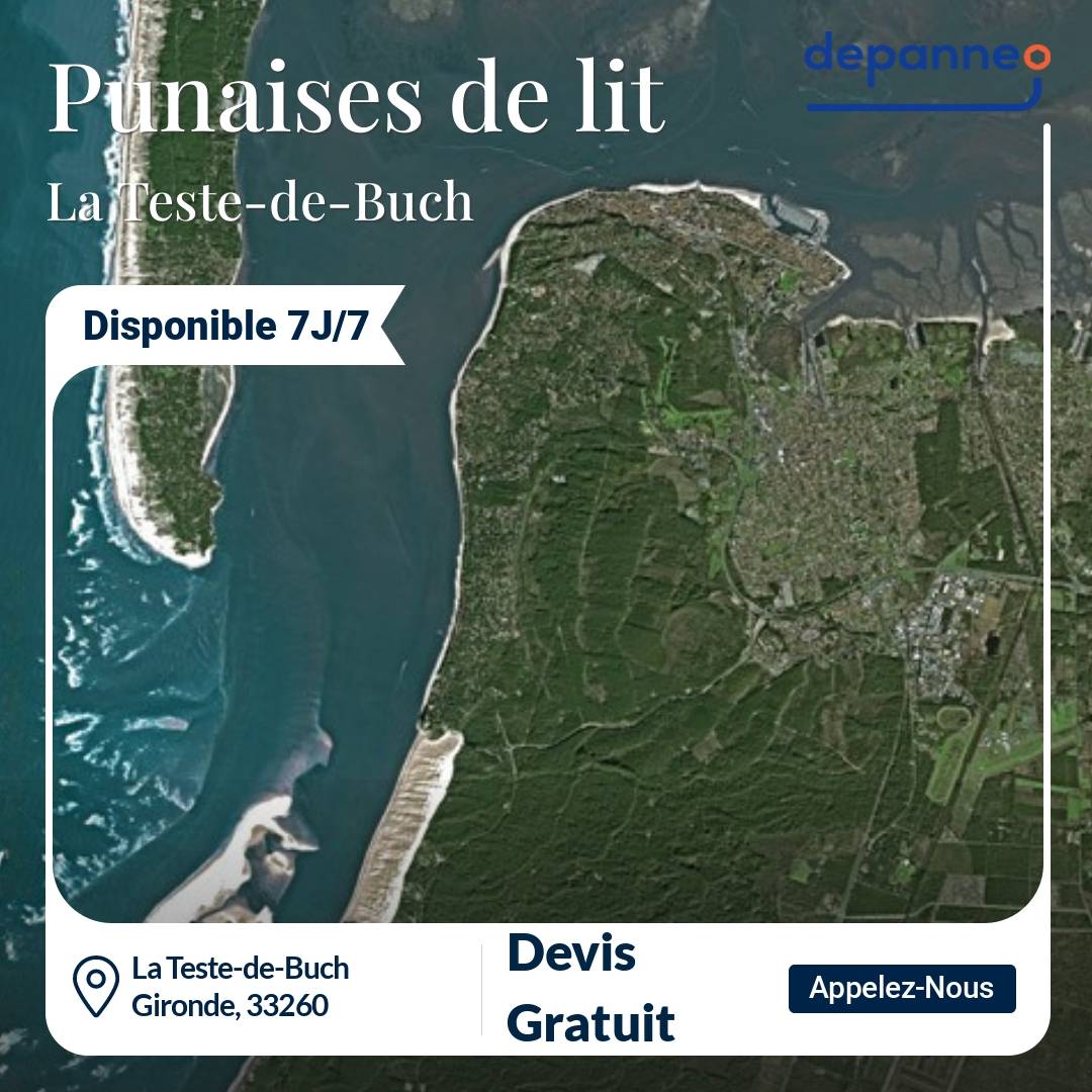 punaise de lit La Teste-de-Buch