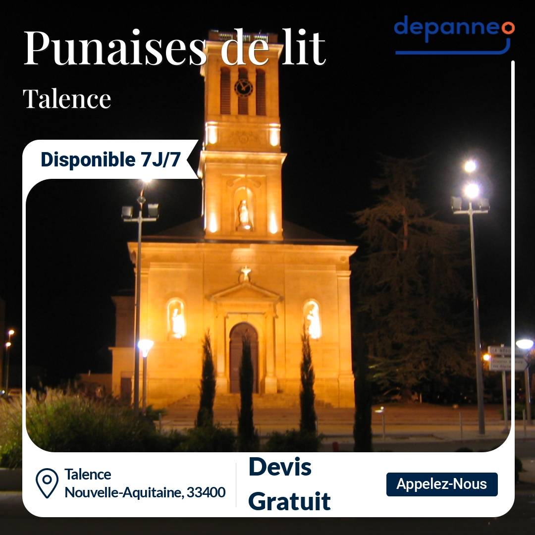 punaise de lit Talence