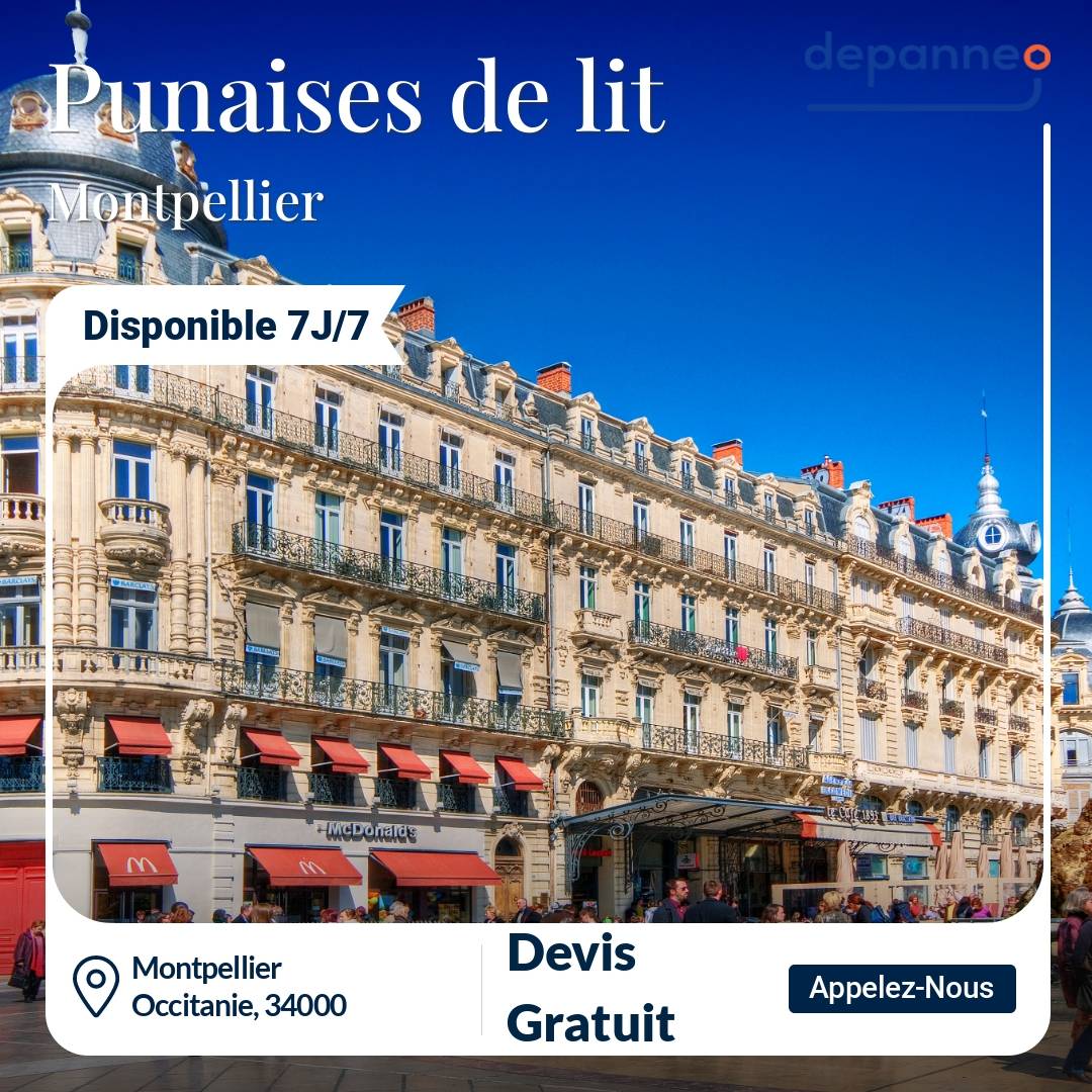 punaise de lit Montpellier