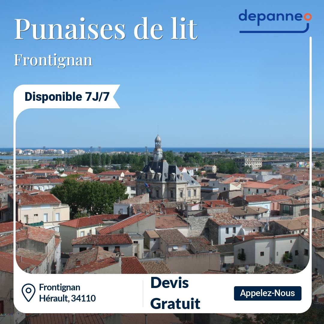 punaise de lit Frontignan