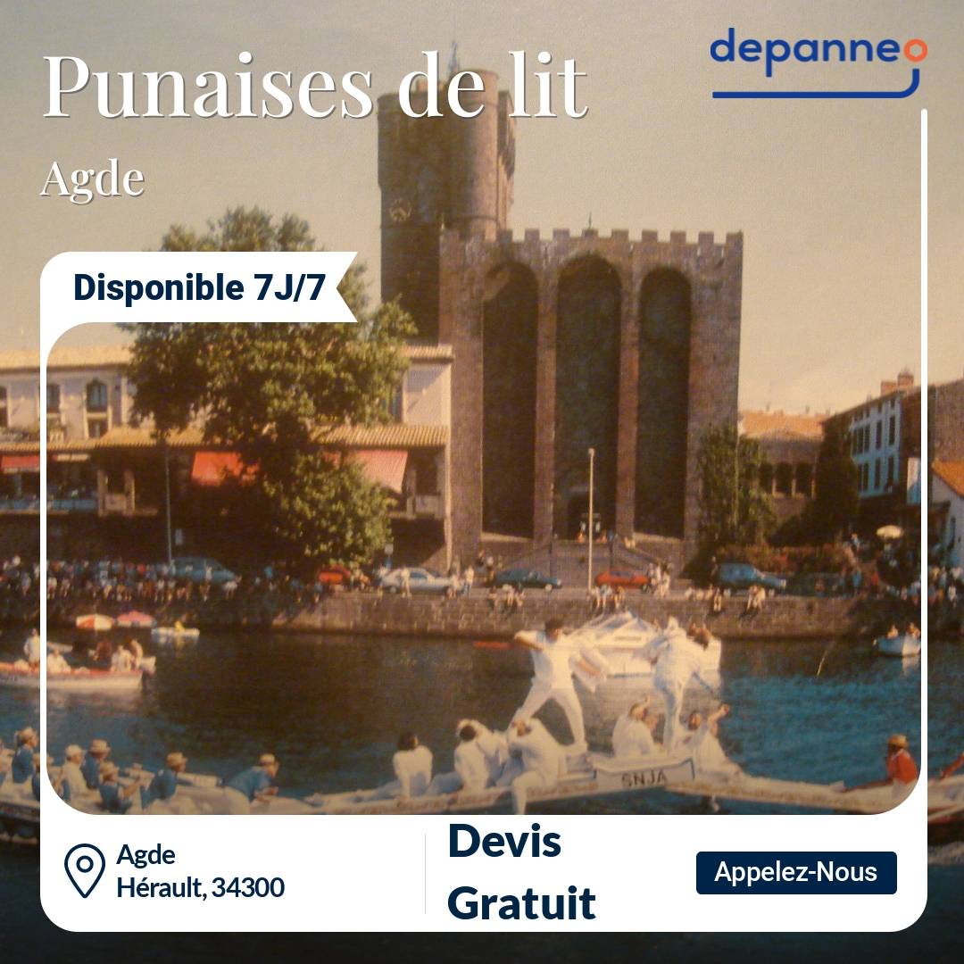 punaise de lit Agde