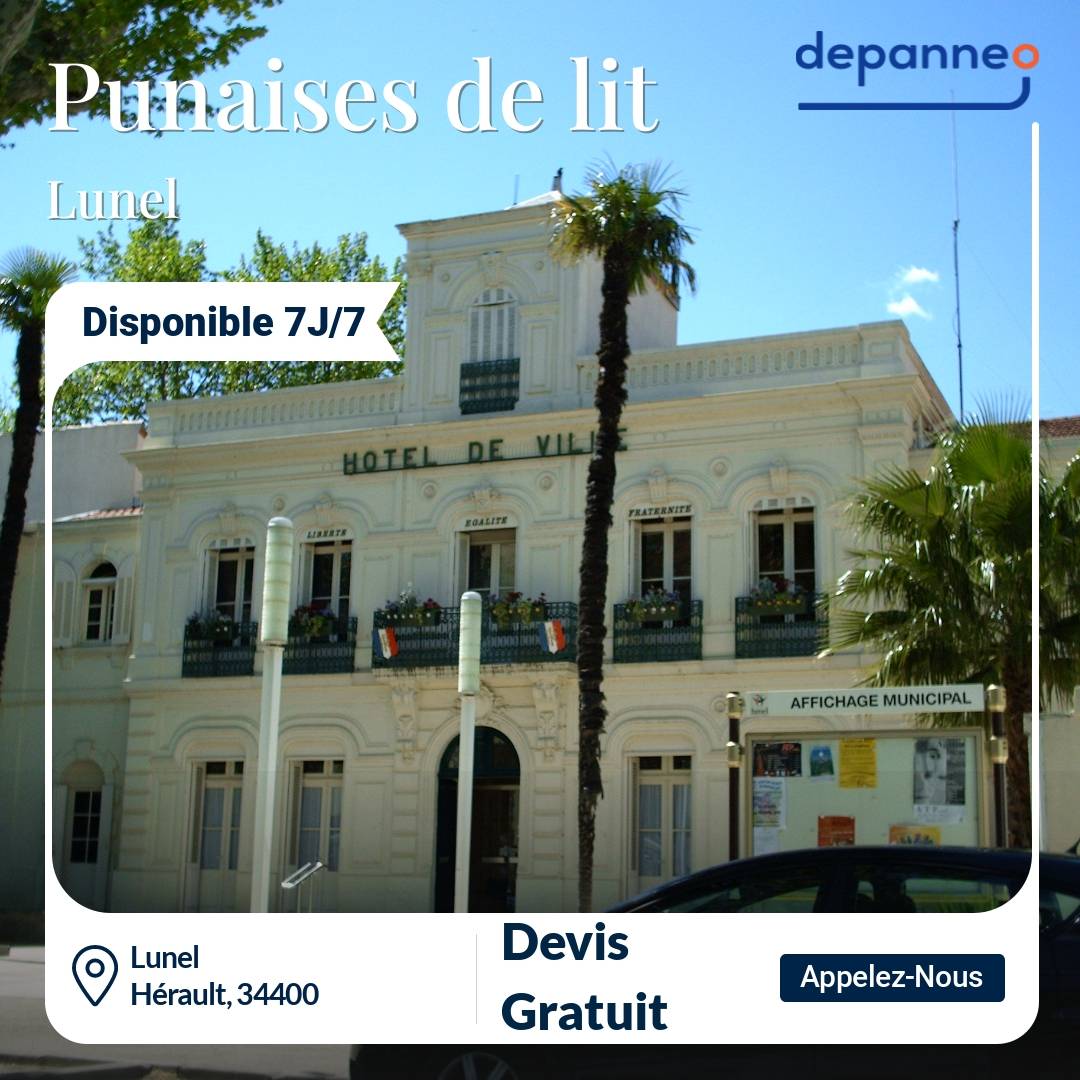 punaise de lit Lunel