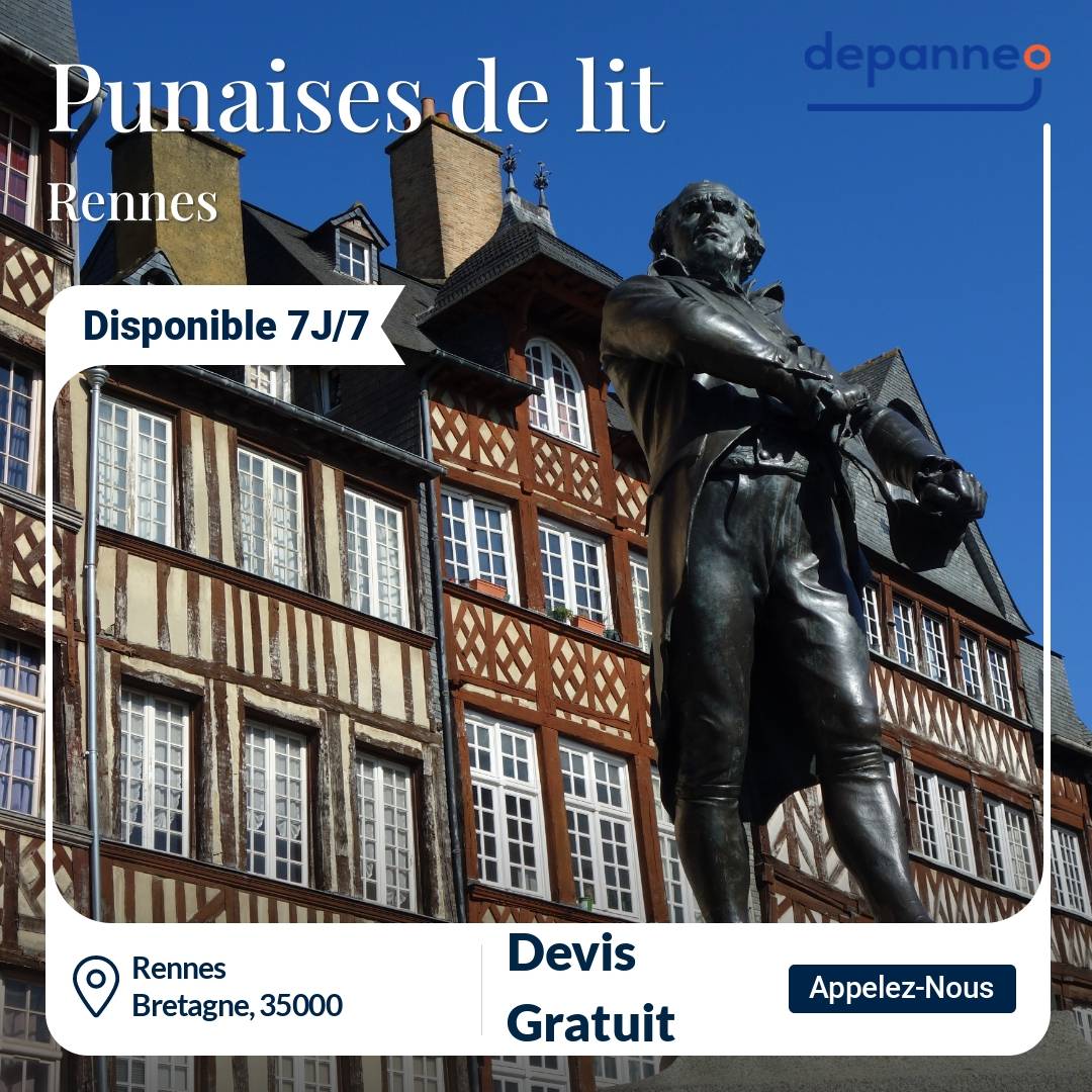 punaise de lit Rennes