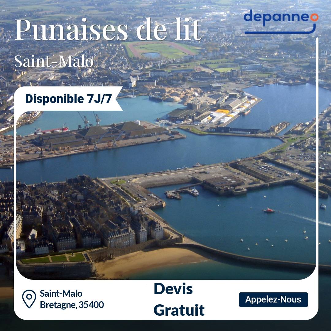 punaise de lit Saint-Malo