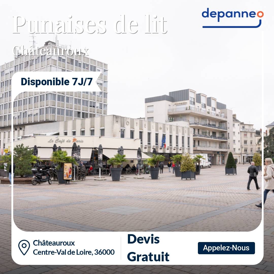 punaise de lit Châteauroux