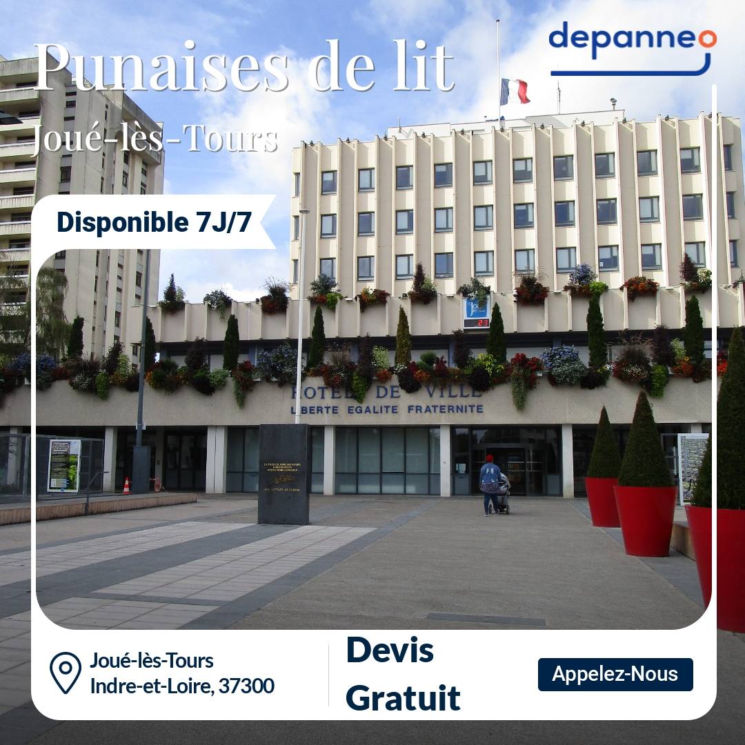 punaise de lit Joué-lès-Tours