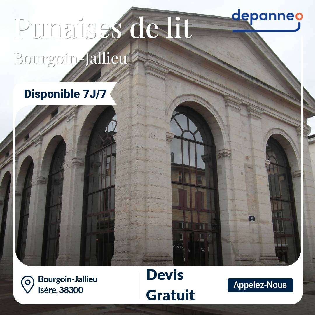 punaise de lit Bourgoin-Jallieu