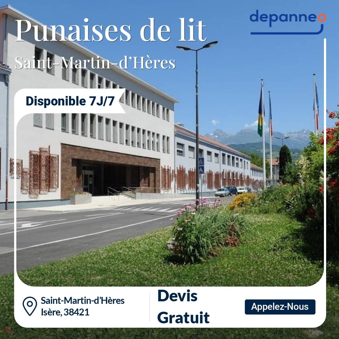 punaise de lit Saint-Martin-d’Hères